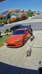 The end   #viral #shorts #funny #fails #LaughPeriod