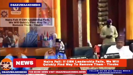 Naira Fall: If CBN Leadership Fails, We Will Quickly Find Way To Remove Them - Tinubu ~ OsazuwaAkonedo