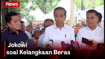 Kelangkaan Beras, Jokowi : Stok Nggak Masalah yang Penting Distribusi