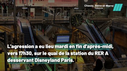 Drame à Marne-la-Vallée : Compagne d'un policier agressée en plein jour