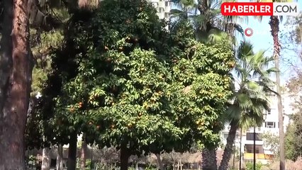 Prof. Dr. Başıbüyük: Sera gazı emisyonu azaltılmazsa küresel sıcaklık artışı 3-4 dereceye çıkabilir