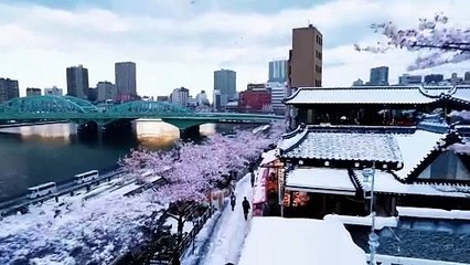 OpenAI'nin Sora'sı: Bir Dakikada Gerçekçi ve Yaratıcı Videolar Oluşturun 🎥