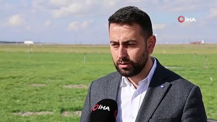 Tahıl ambarı Konya Ovası'nda yağışlar rekolte umutlarını artırdı