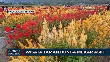 Wisata Taman Bunga Mekar Asih