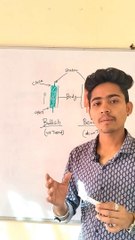 Basic Knowledge of Doji Candlestick pattern in trading chart analysis #shorts #trading #intraday