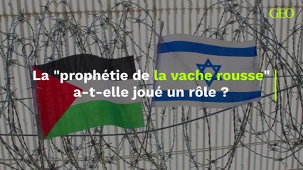 La "prophétie de la vache rousse" a-t-elle joué un rôle dans l'attaque du 7 octobre ?