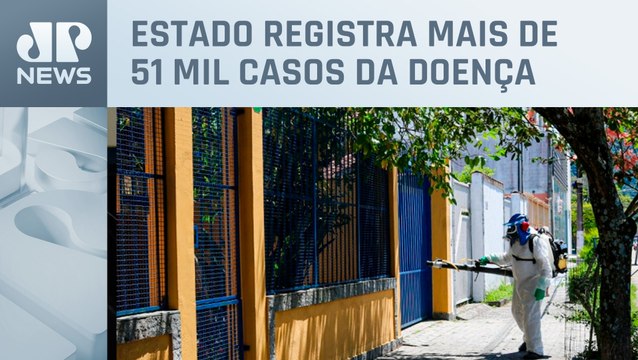 Mortes por dengue chegam a 11 em São Paulo em 2024