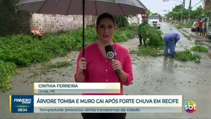 Árvores desabam devido as fortes chuvas em Jardim Brasil, Olinda