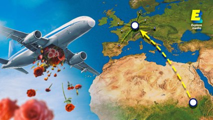 La folle logistique du business des fleurs