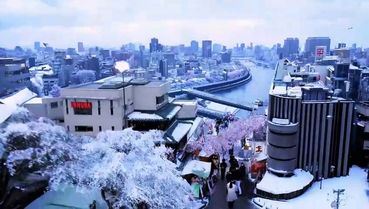 Paseo por Japón generado con Sora