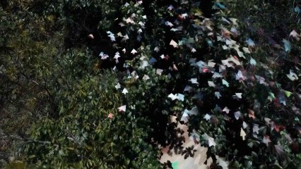 Vídeo creado con Sora de OpenAI