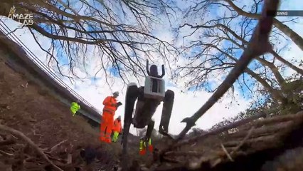 Famous 4-Legged Robot ‘Spot’ Just Got a New Job on England’s Roadways