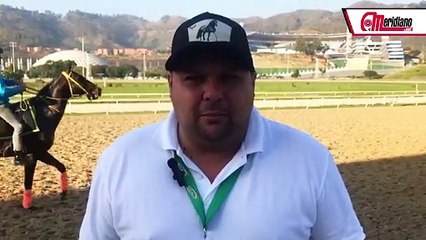 Hipismo: David Palencia, Entrenador.