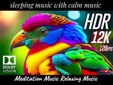 meditation music Key Relaxing Music and Relaxation Music Harmonious Haven Ultra Animals Meditation Music & Relaxing Soundscapes Deep Relaxation Music,