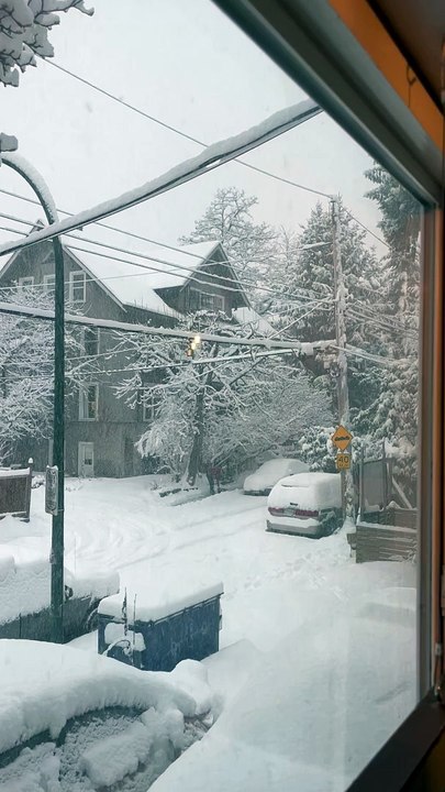 Snowplow Squirrel Cleans Powerlines