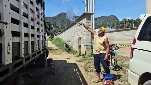 Paro cívico y bloqueo: 85 cerdos en riesgo de morir y la situación se complica para productores parados en Rurrenabaque