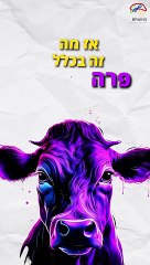 הפרה הסגולה