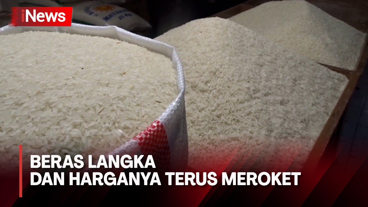 Beras Langka dan Harganya Terus Meroket, Ternyata Ini Pemicunya