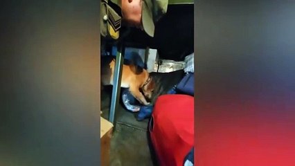 Extraen más de 4 kilos de cocaína dentro de los caños de dos escaleras.