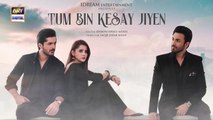 Tum Bin Kesay Jiyen Episode 4 _ 16 February 2024