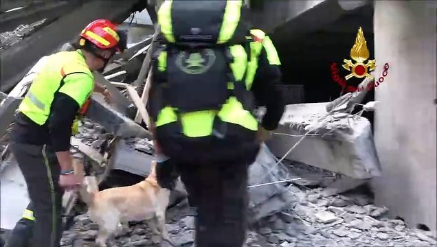 Crollo di Firenze, inferno di cemento e ferro: i soccorritori dentro il cantiere