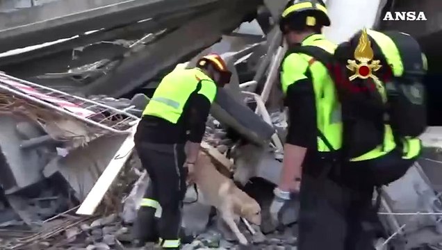 Crollo cantiere Firenze, Vigili del Fuoco: 'Stiamo cercando i dispersi