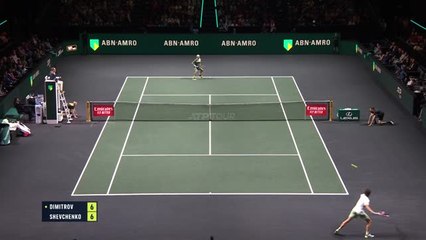 Rotterdam - Dimitrov file en demie après avoir écarte Shevchenko
