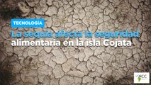 La sequía afecta la seguridad alimentaria en la isla Cojata