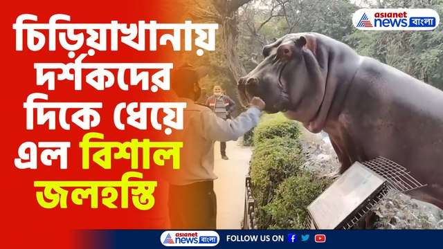 চিড়িয়াখানায় দর্শকদের দিকে ধেয়ে এল বিশাল জলহস্তি