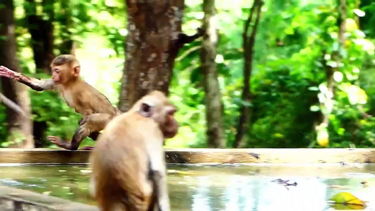 Special and happiest time of juvenile Saro and his friends, Saro play water with friends (720p_25fps_H264-192kbit_AAC)