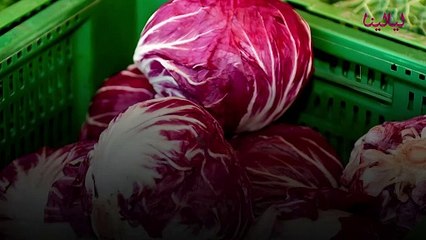 فوائد الهندباء الصحية