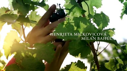 Bor, mámor, szerelem_, 01_02