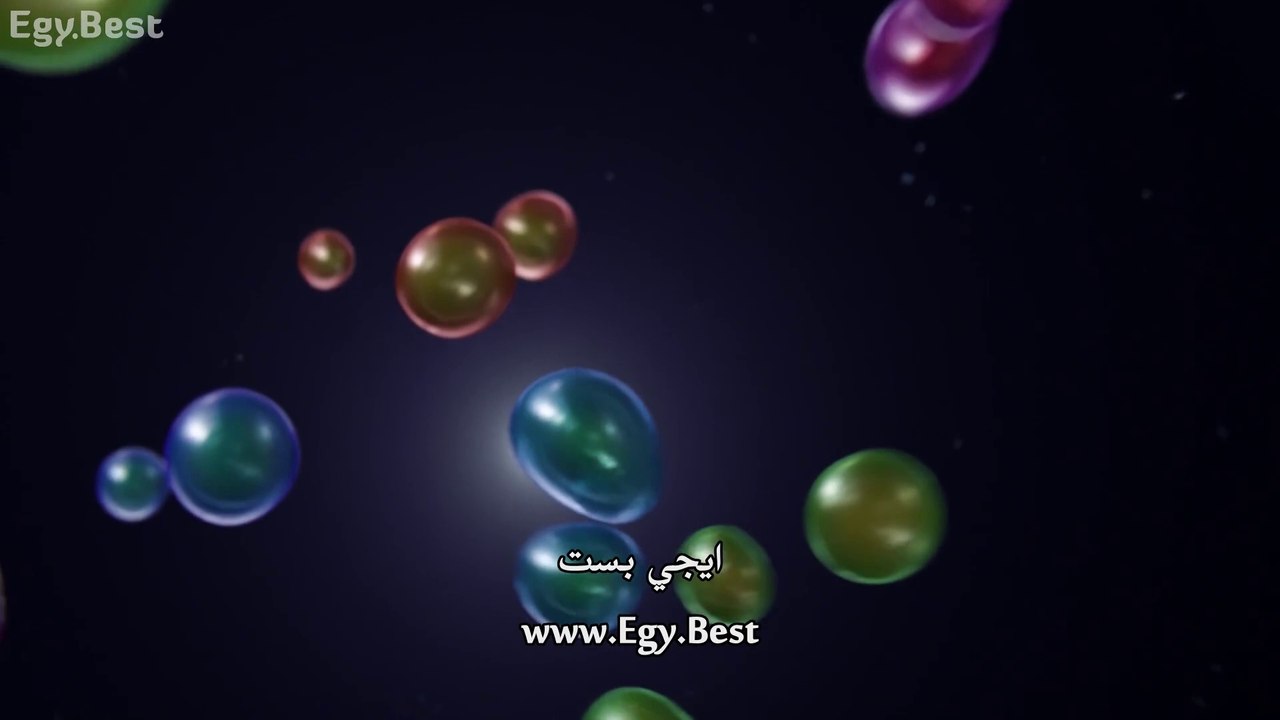 الحلقة الرابعة - مسلسل متحف الدحيح