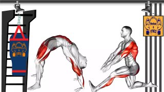 The Best Exercises Stretches for Running - Running Stretches Workout