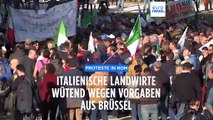 Bauern in Rom: „EU soll sich nicht in italienische Angelegenheiten einmischen“