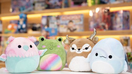 Why Build-A-Bear and Squishmallows are suing each other