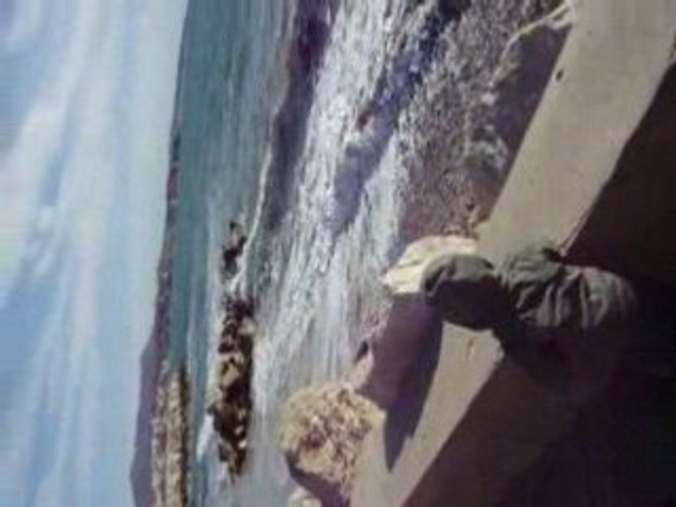 Tom se balade en bord de mer