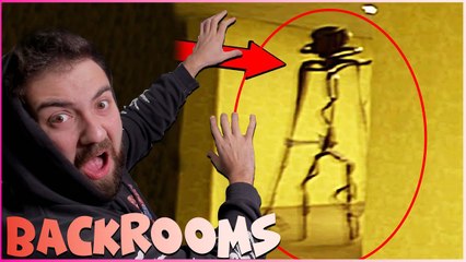 YENİ BACKROOMS GERÇEK HİKAYE | APEİROPHOBİA | HAN KANAL EKİP