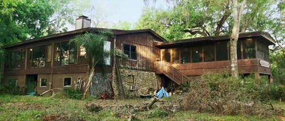 Watch Attack of the Meth Gator (2023) Full Movie For Free