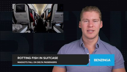 Maggots Fall from Overhead Compartment on Delta Flight, Prompting Emergency Landing