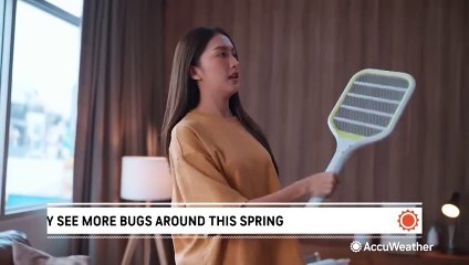 Why you may see more bugs around this spring