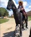 Bicycling Horse