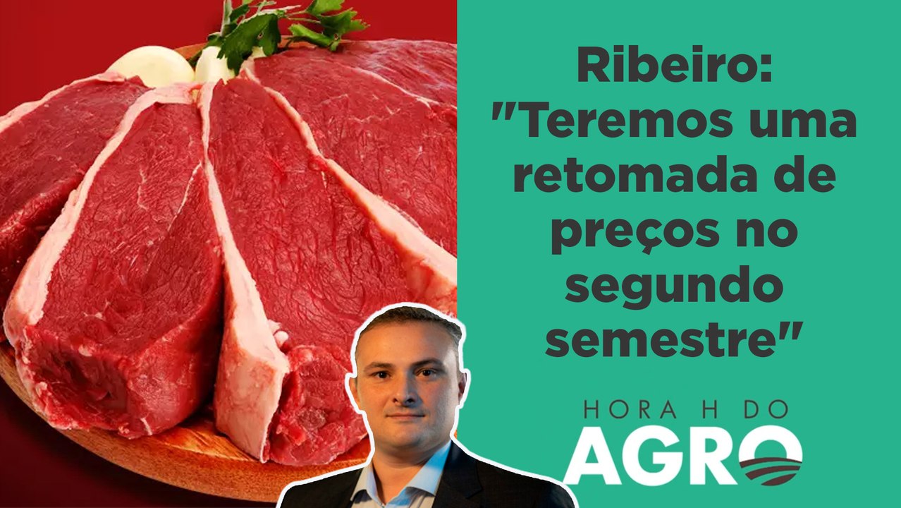 Ribeiro: "Teremos uma retomada de preços no segundo semestre" | HORA H DO AGRO
