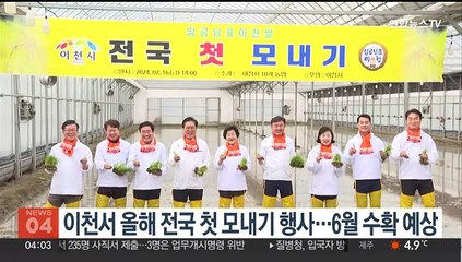 경기 이천서 올해 전국 첫 모내기 행사…6월 수확 예상