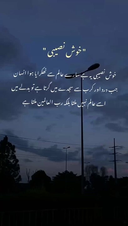 Khush Naseebi kia hoty hai⚡✨