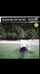 Comedy karwan ka matalab is city life