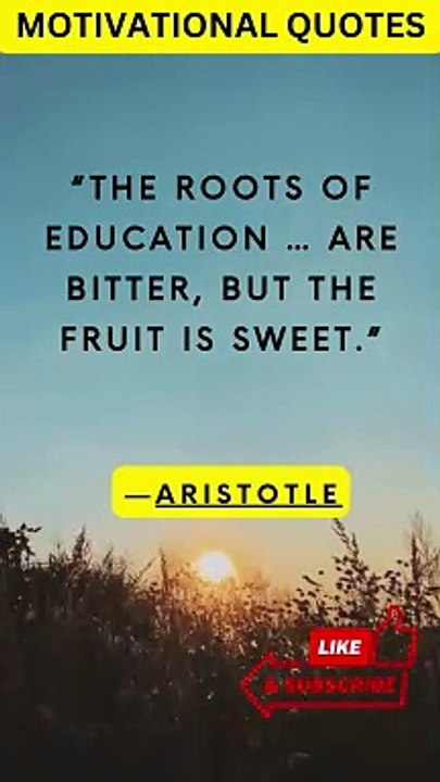 Quotes