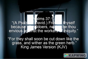 Don't Fret Thyself Because of Evil Doers