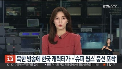 북한 방송에 한국 캐릭터가…'슈퍼 윙스' 풍선 포착