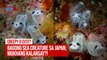Bagong sea creature sa Japan, mukhang kalansay?! | GMA Integrated Newsfeed